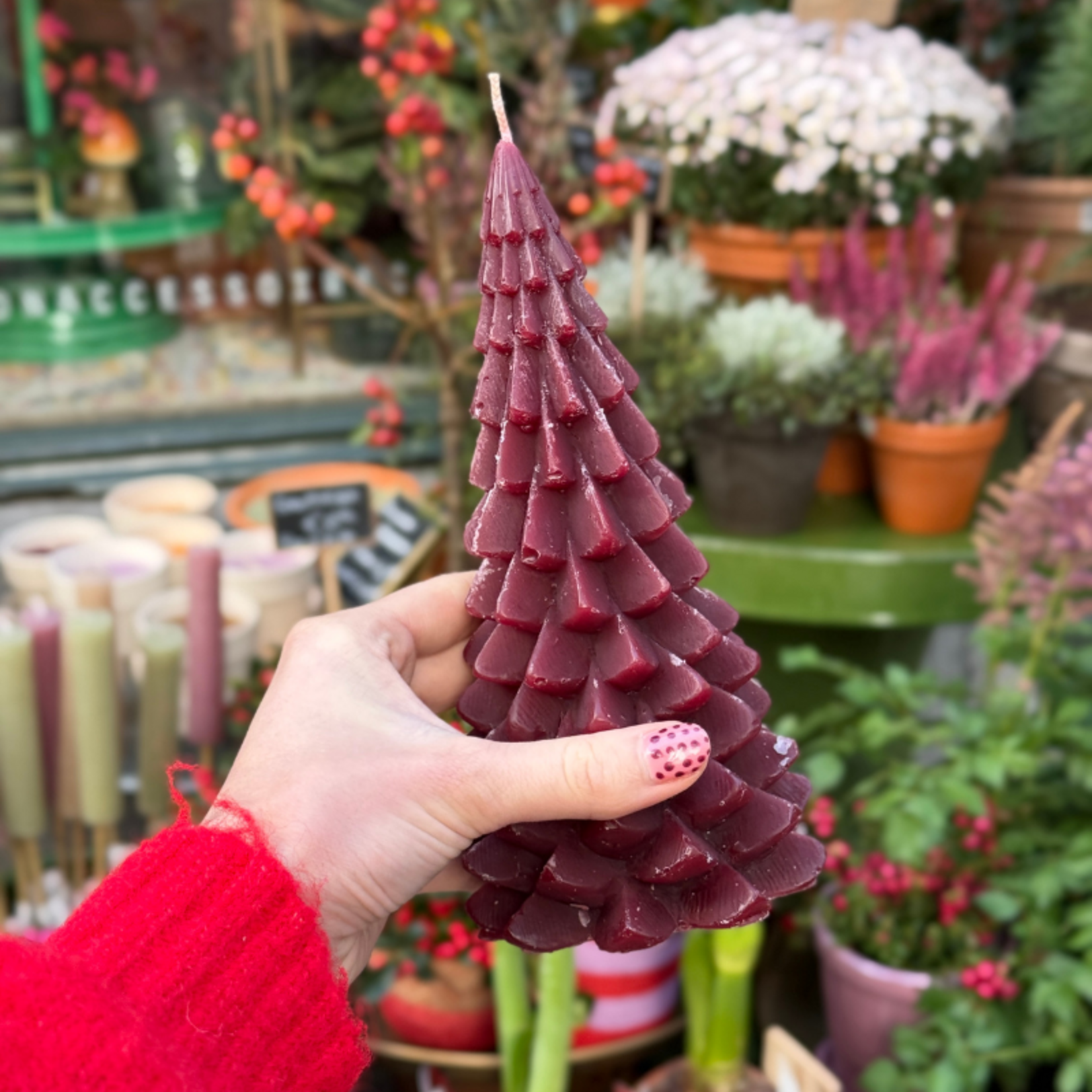 Kaars - Kerstboom - Nova - Aubergine - M