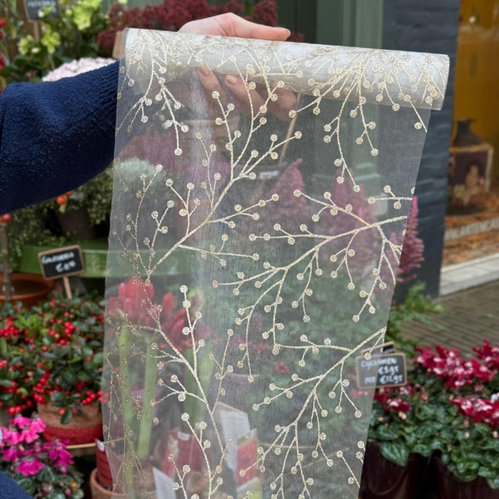 Tafellopers - champagne