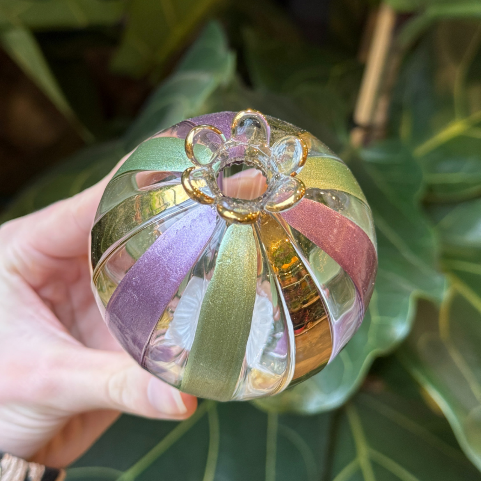 Vaasje Granaatappel GV M -  groen, lila