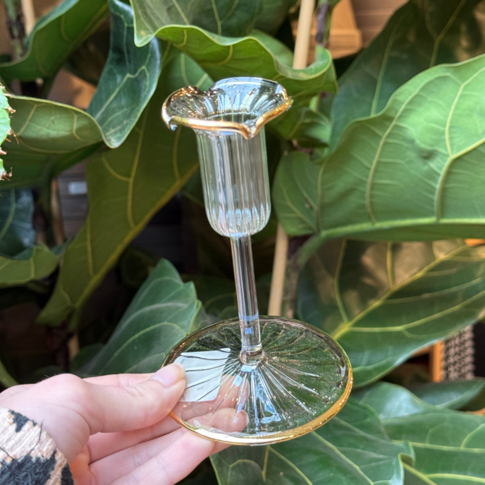 Kandelaar - Tulp - Licht, blauw