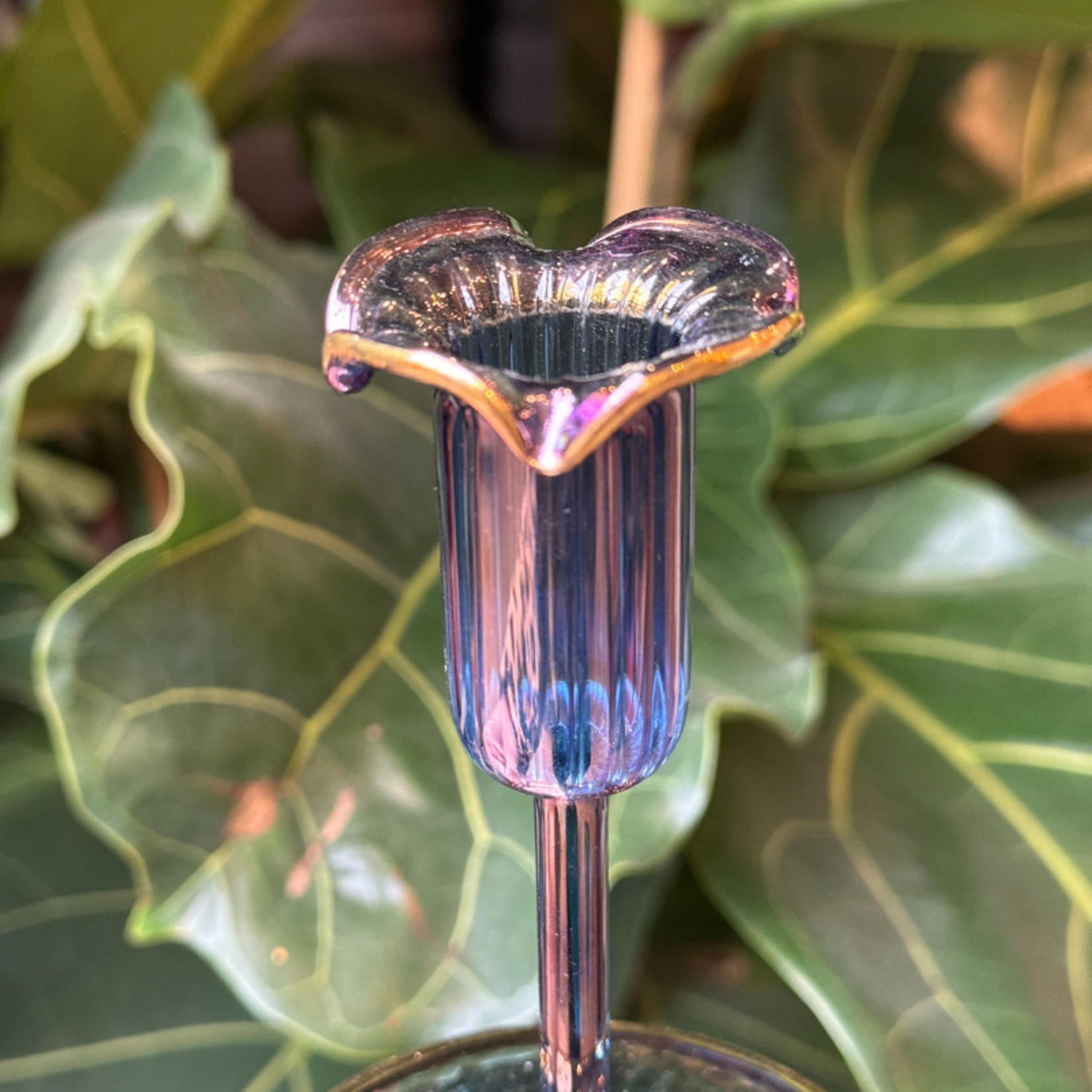 Kandelaar - Tulp - Ijsblauw