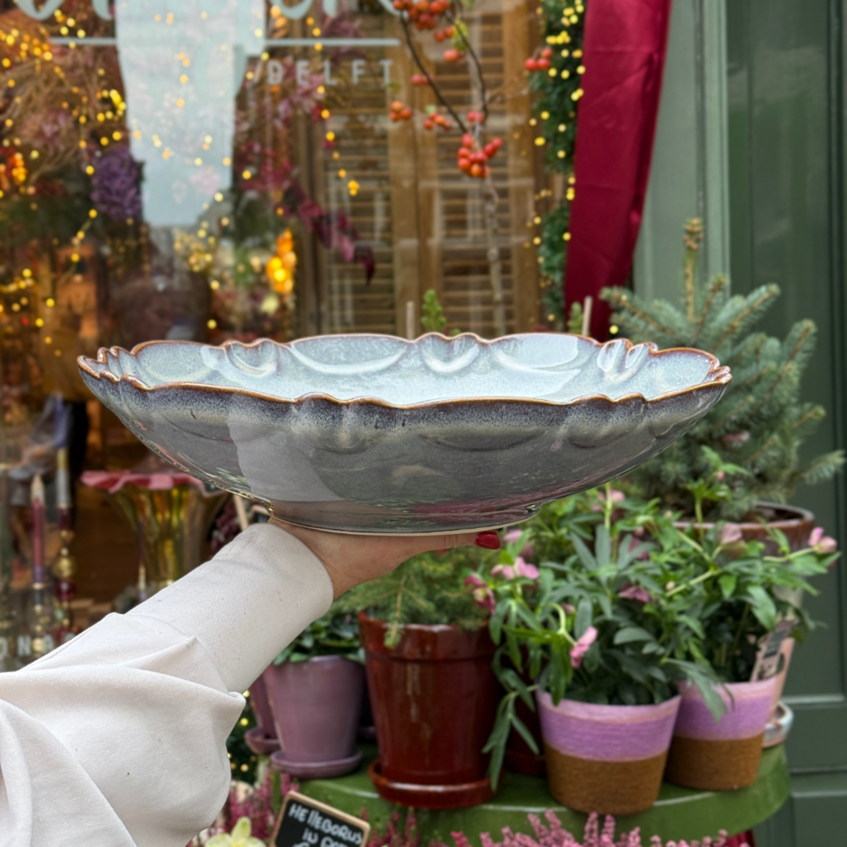 Schaal Moris - Lait Chocolat M