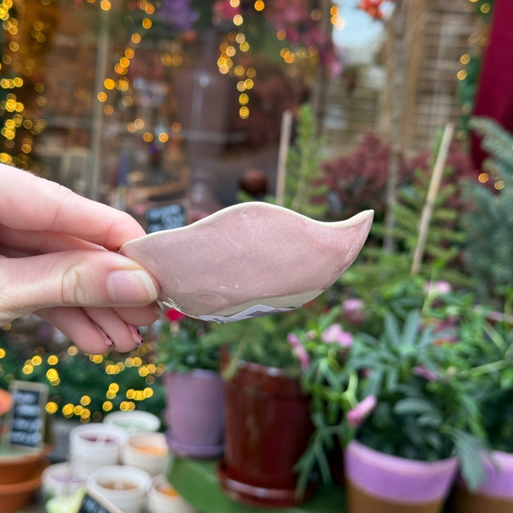 Schaaltje Moris - Rose Fondant XXS