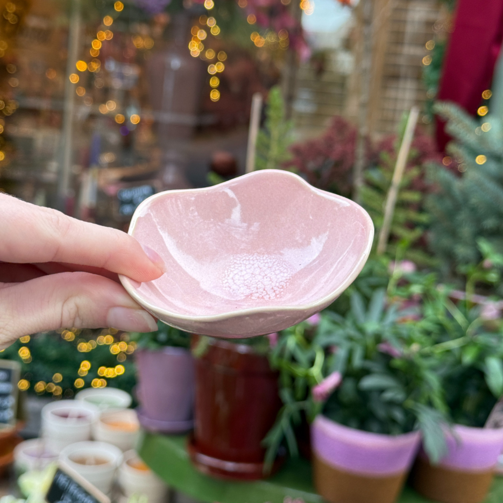 Schaaltje Moris - Rose Fondant XXS