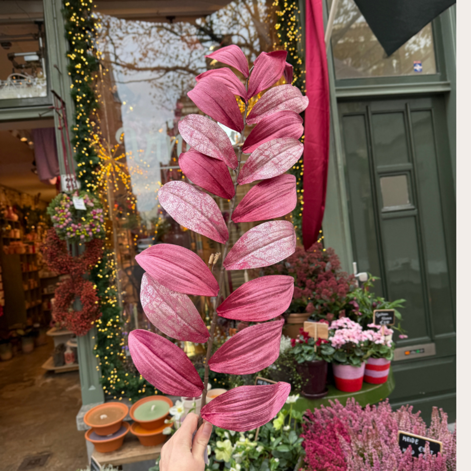 Zijden bloem - Zamifolia - Roze