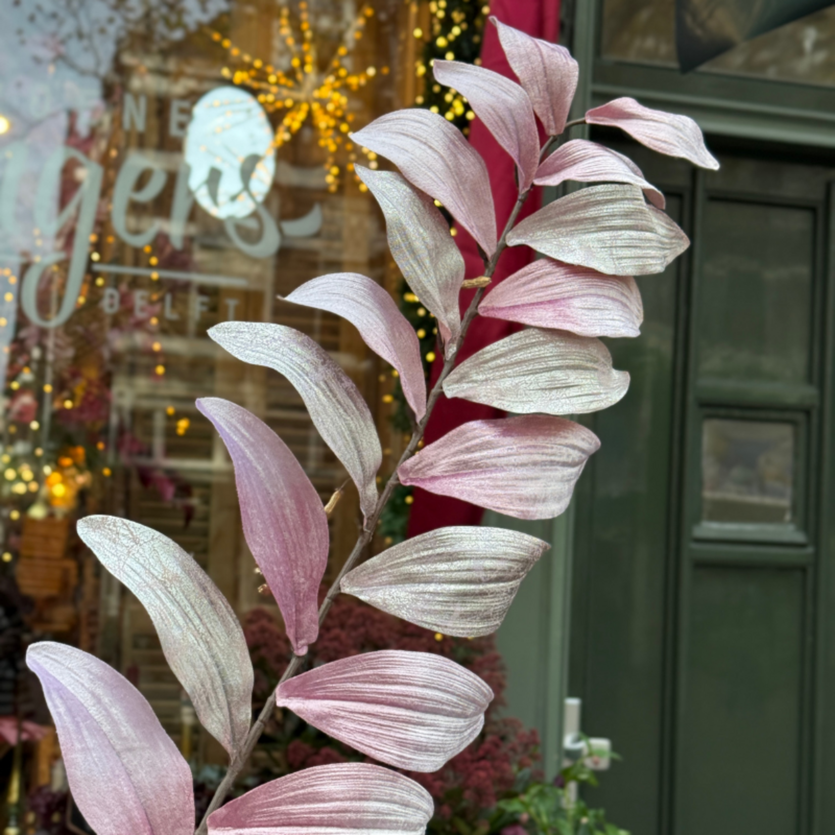 Zijden bloem - Zamifolia - Parelmoer