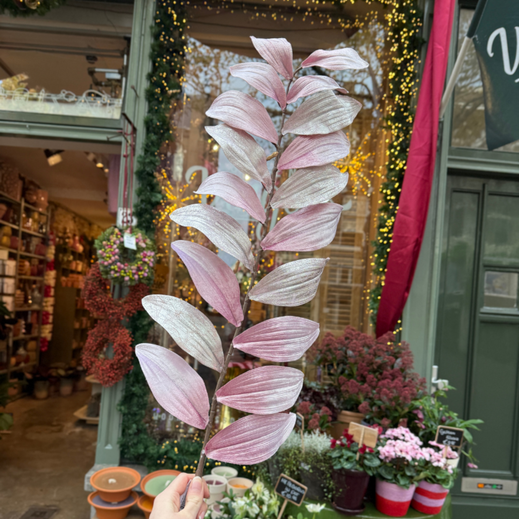 Zijden bloem - Zamifolia - Parelmoer