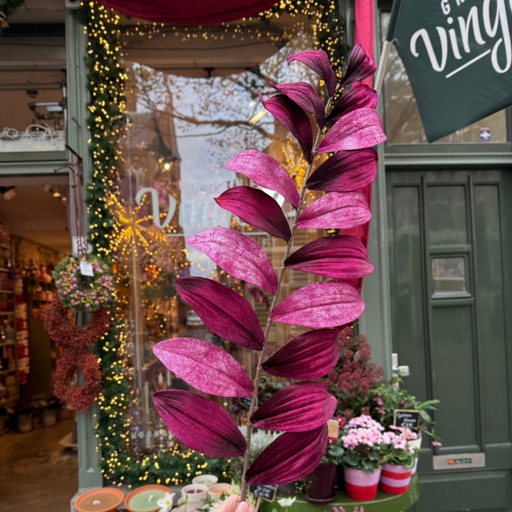 Zijden bloem - Zamifolia - Paars
