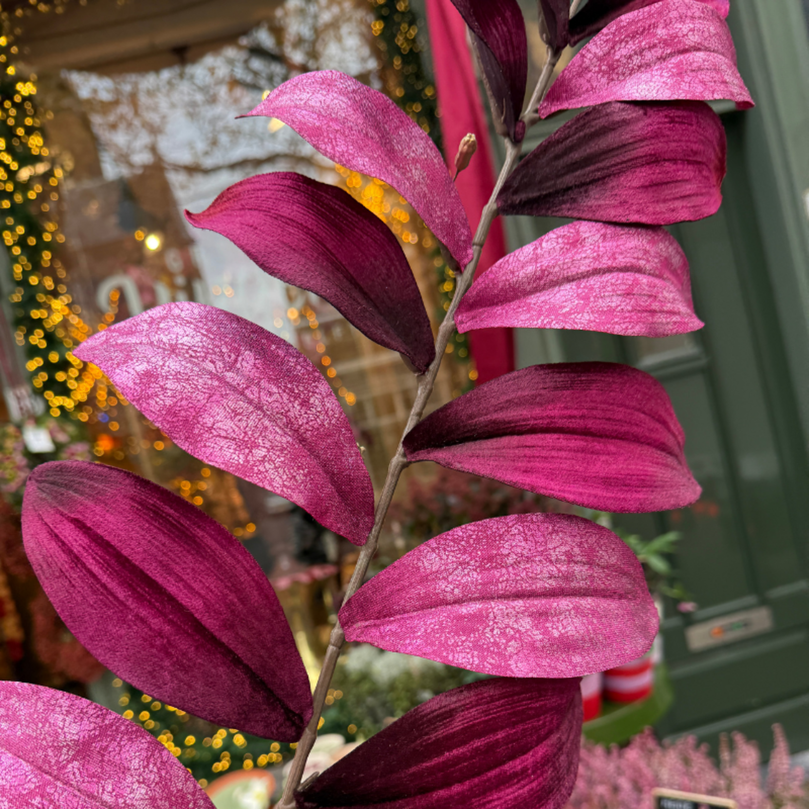 Zijden bloem - Zamifolia - Paars