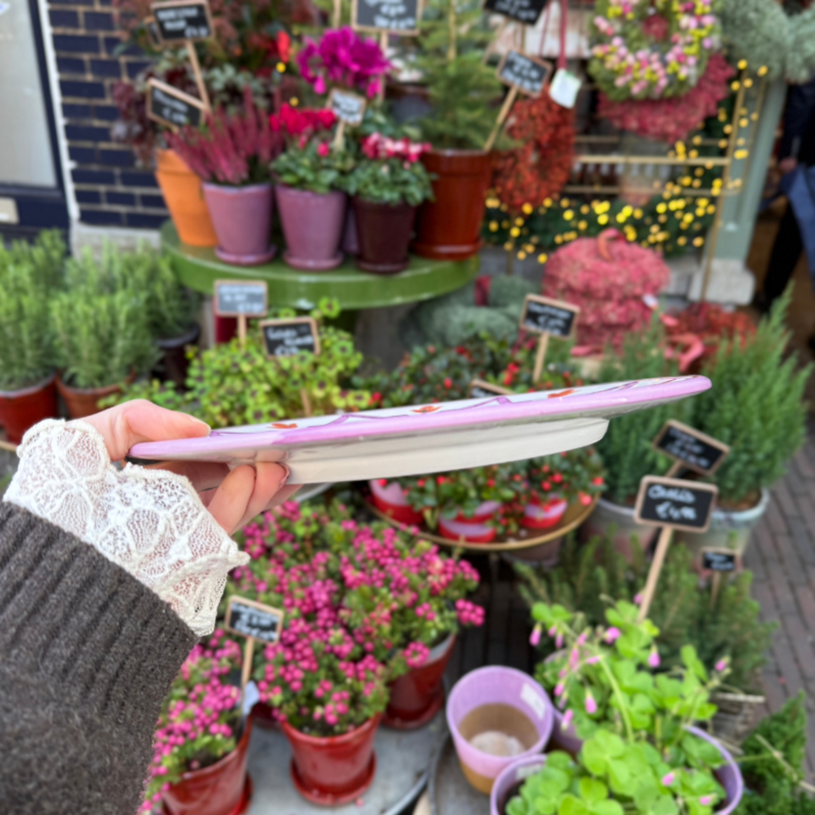 Chabi Chic Chabi Chic - dinerbord, lila marsala