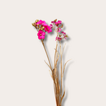 Zijden bloem - Grafiet - Fuchia