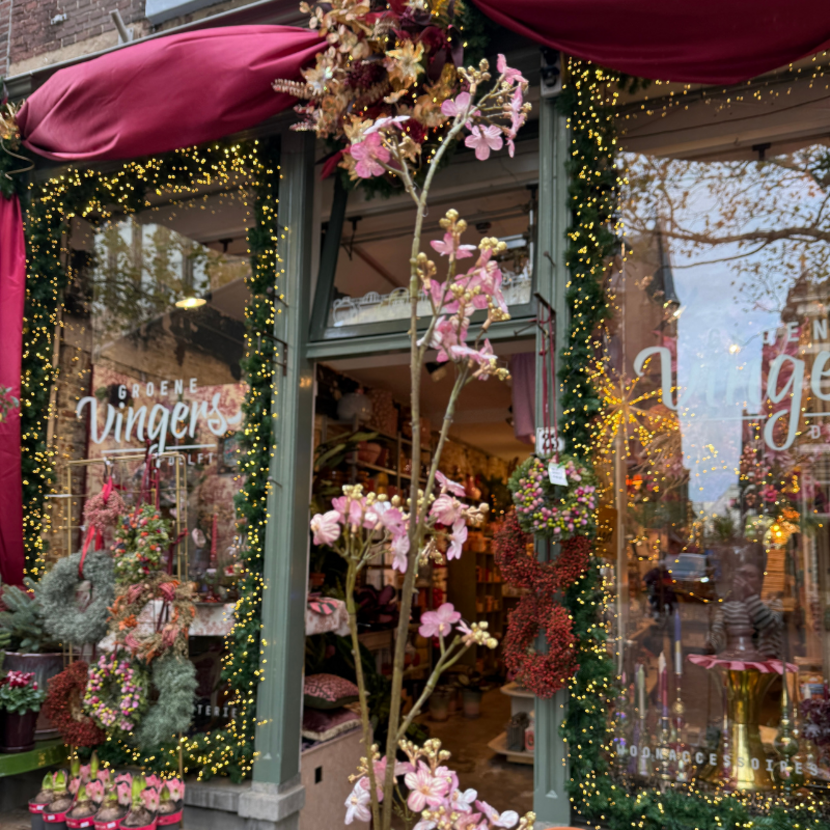 Zijden bloem - Gipskruid - Roze