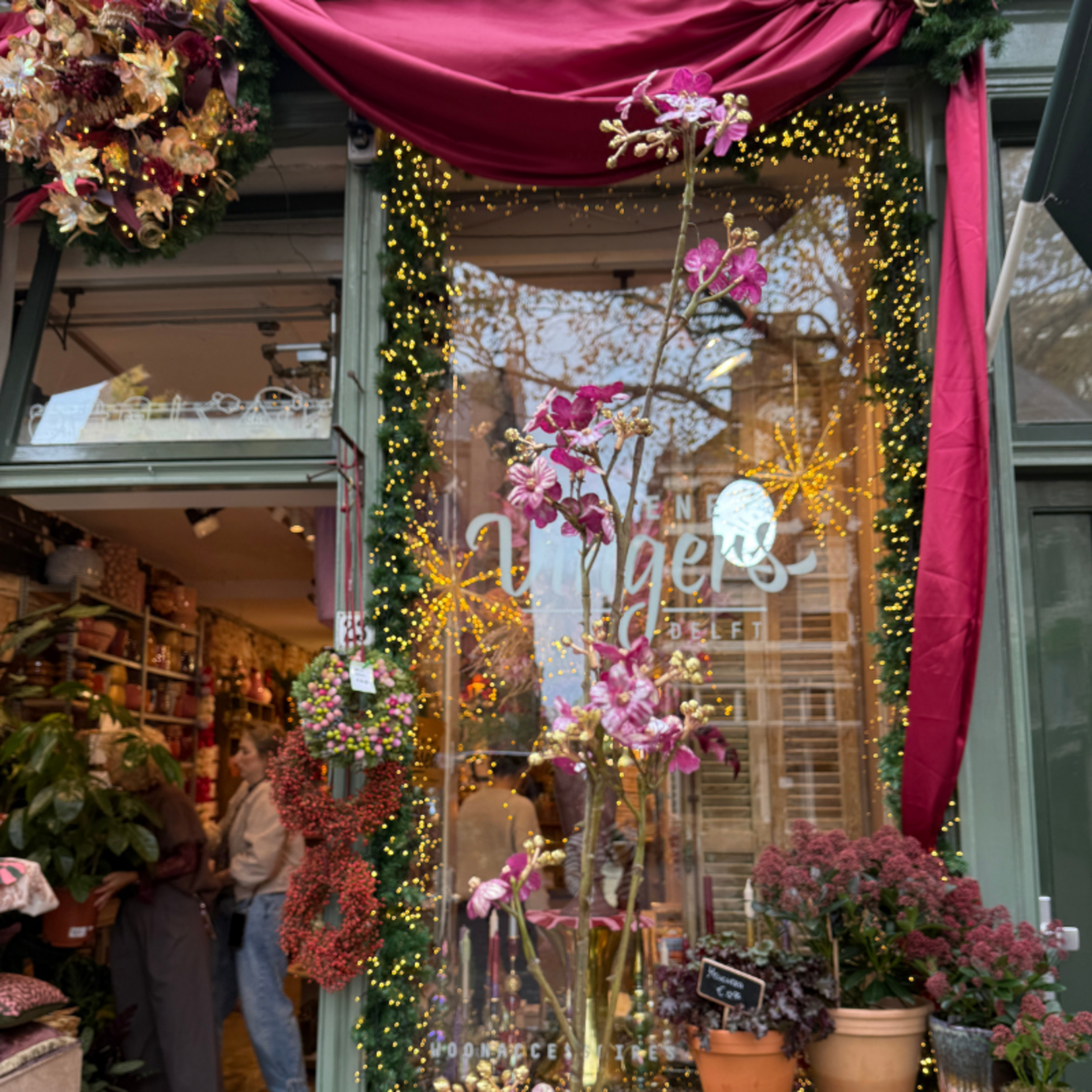 Zijden bloem - Gipskruid - Paars