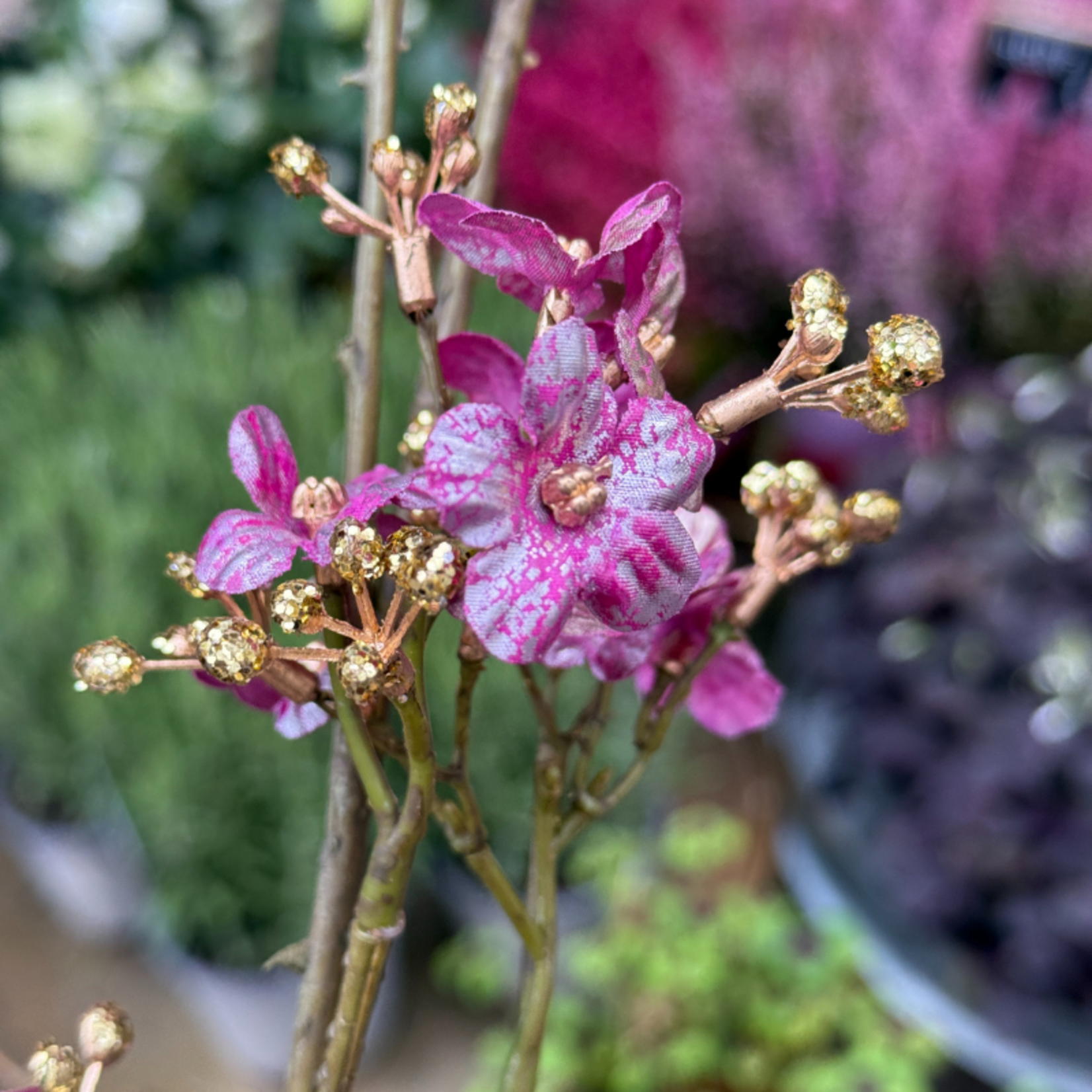 Zijden bloem - Gipskruid - Paars