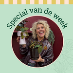 Groene Vingers Special van de week