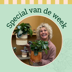 Groene Vingers Special van de week