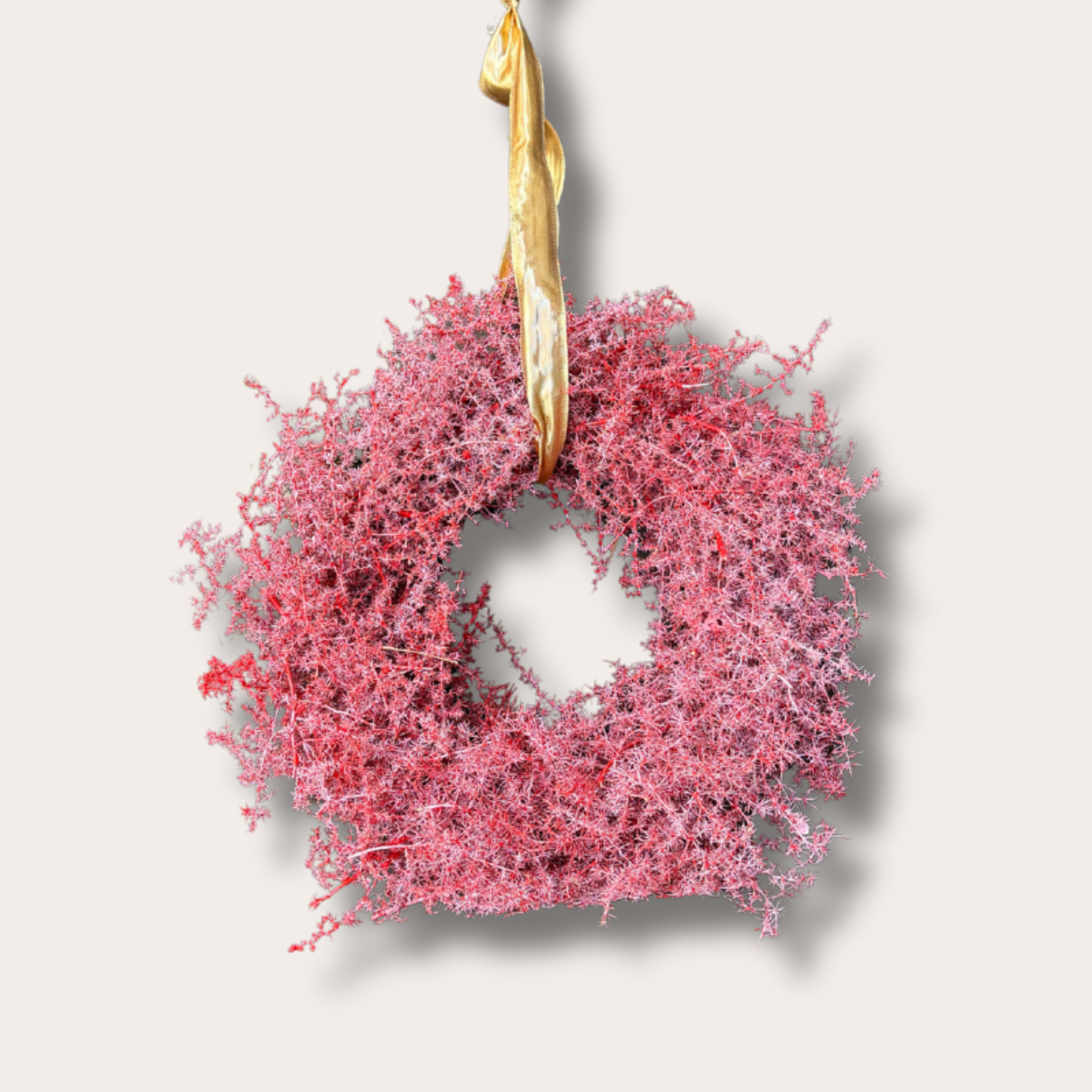 Krans - Asparagus - bordeaux L