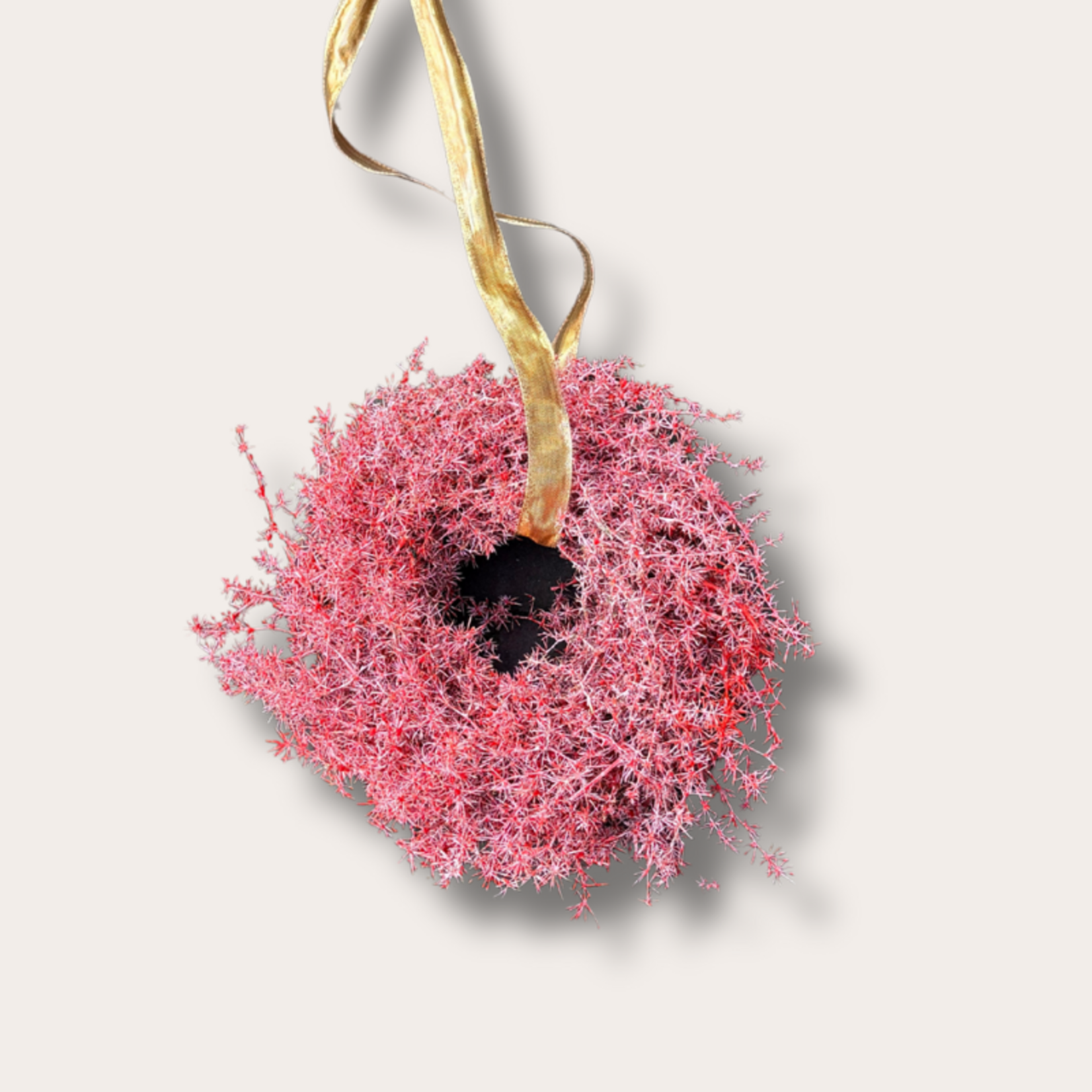 Krans - Asparagus - bordeaux M