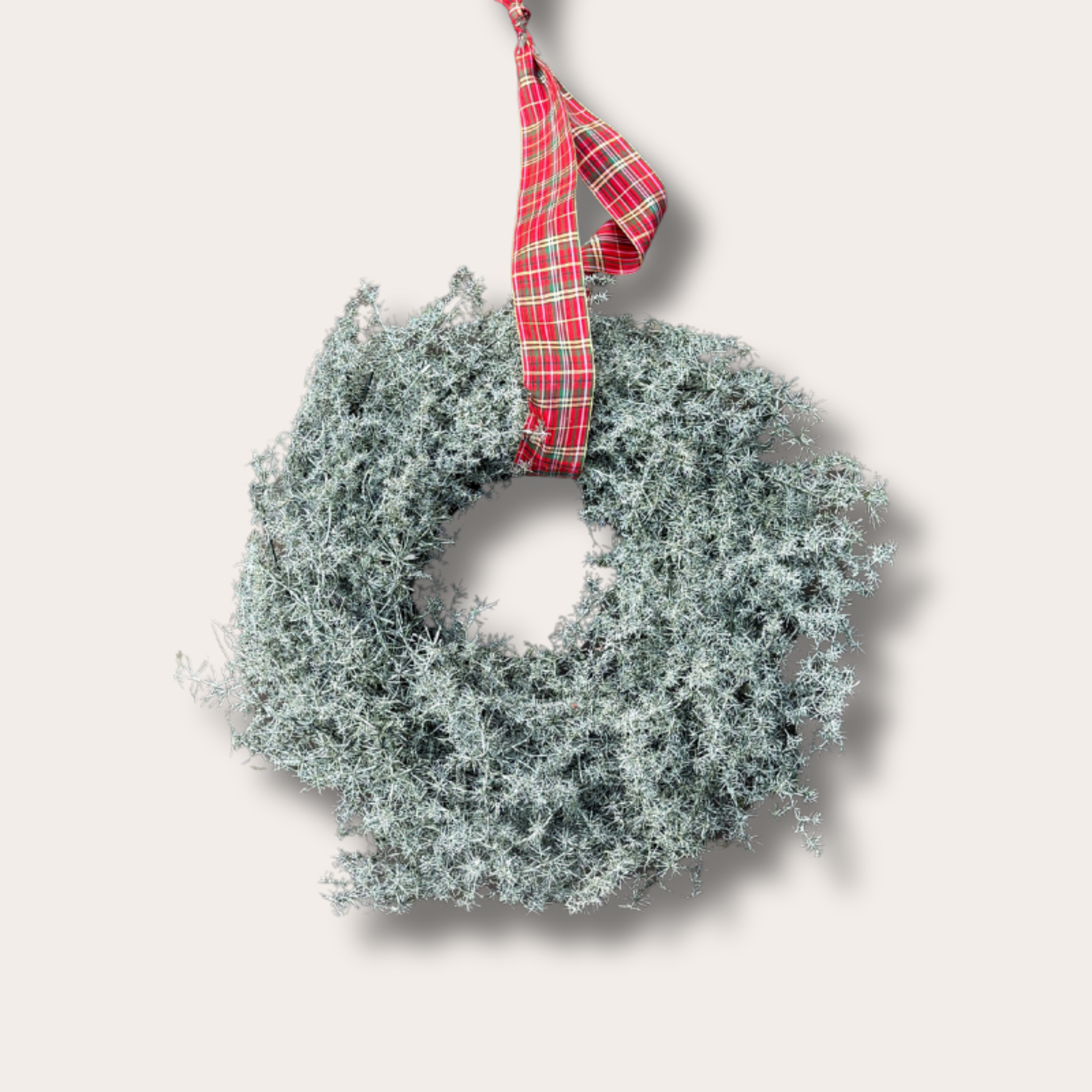 Krans - Asparagus - groen M