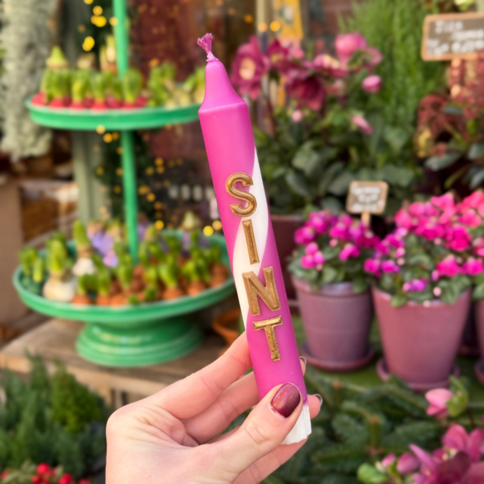 Kaars met tekst - Sint - donker paars