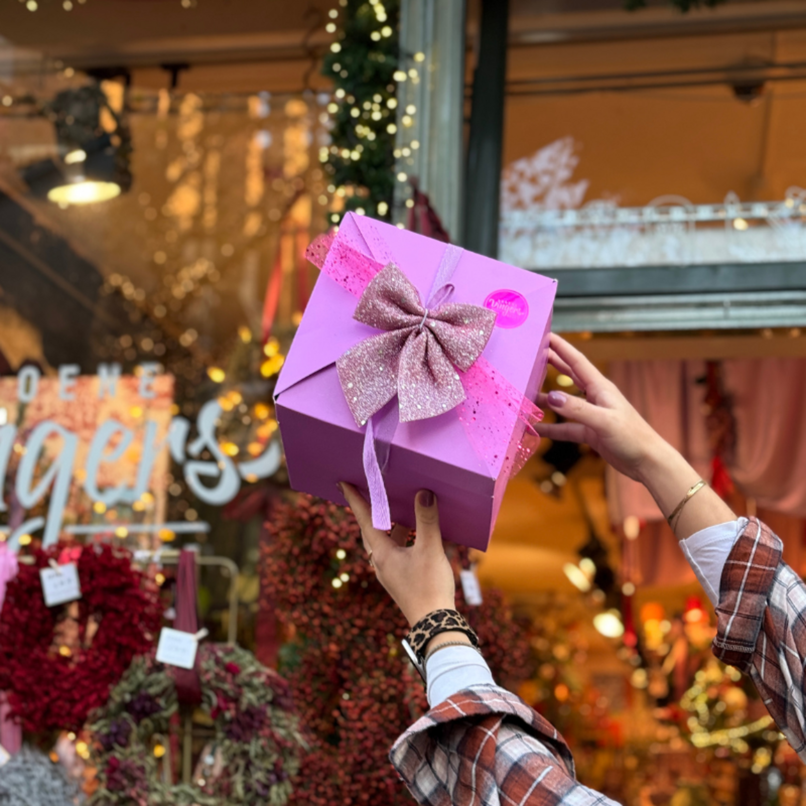 Groene Vingers Suprise box