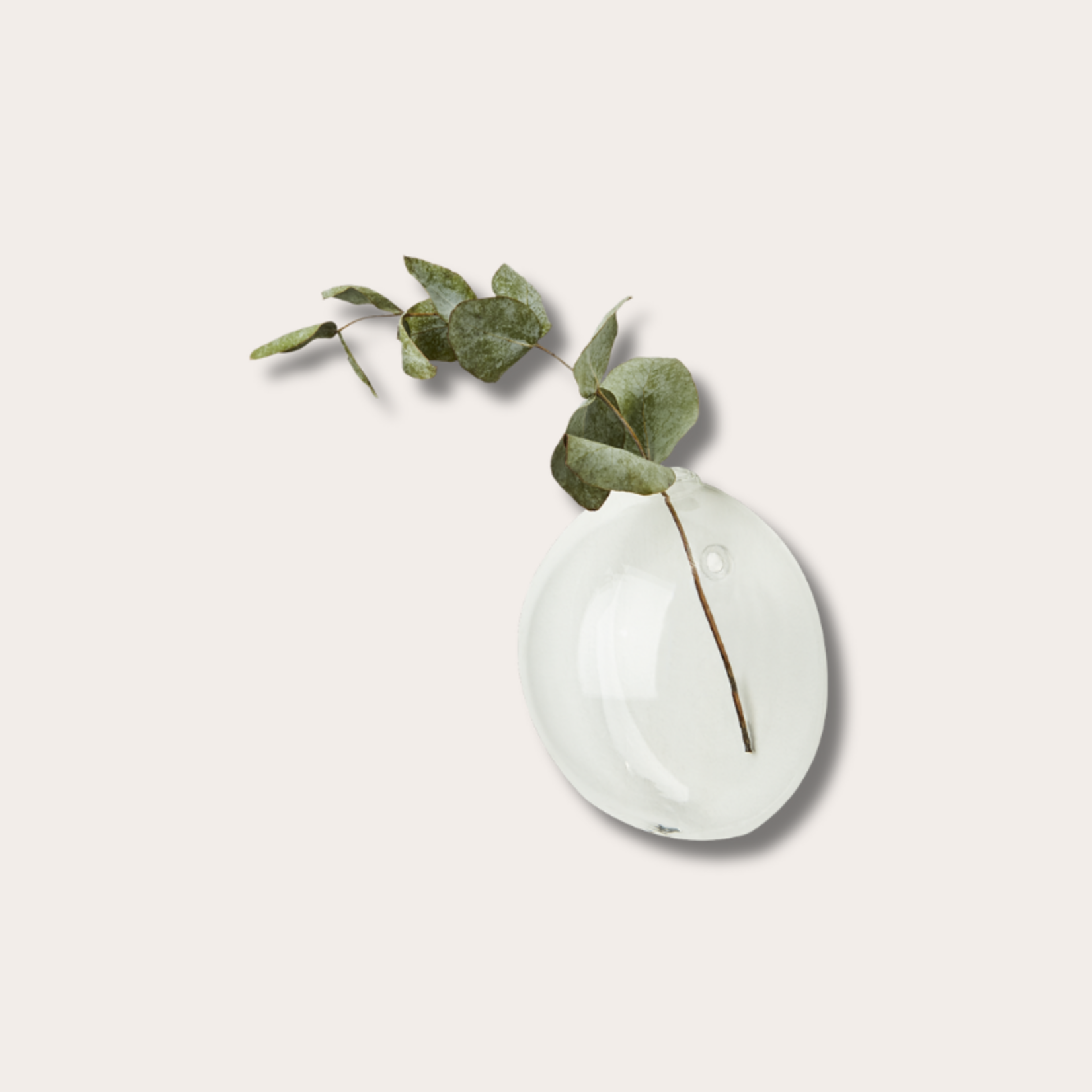 Wandvaasjes van glas - rond, bol