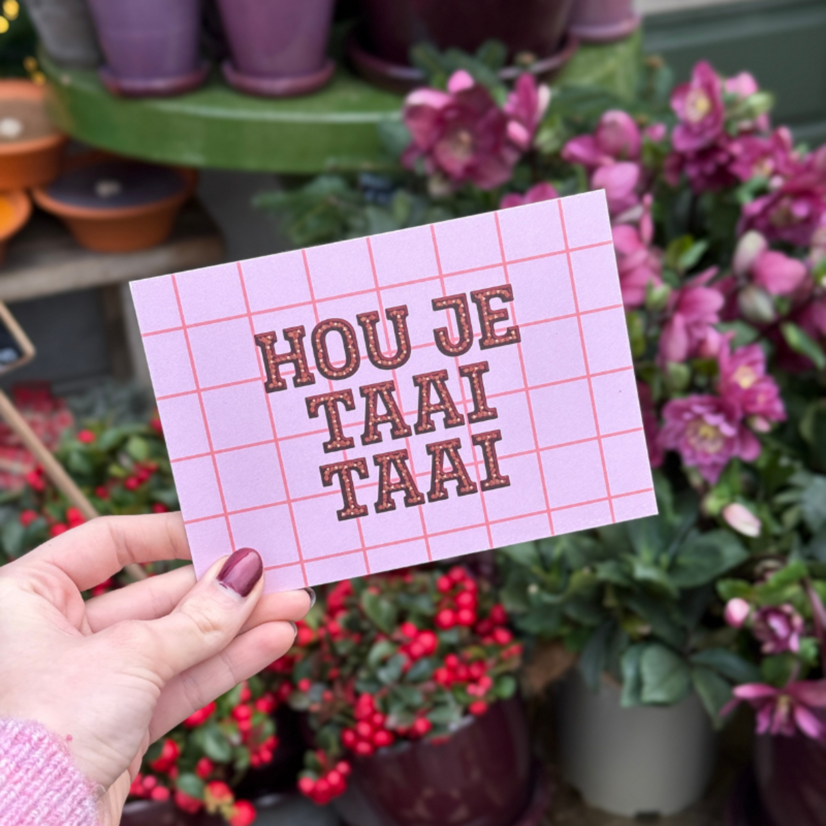 Kaart - Hou je taai taai