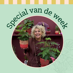 Groene Vingers Special van de week