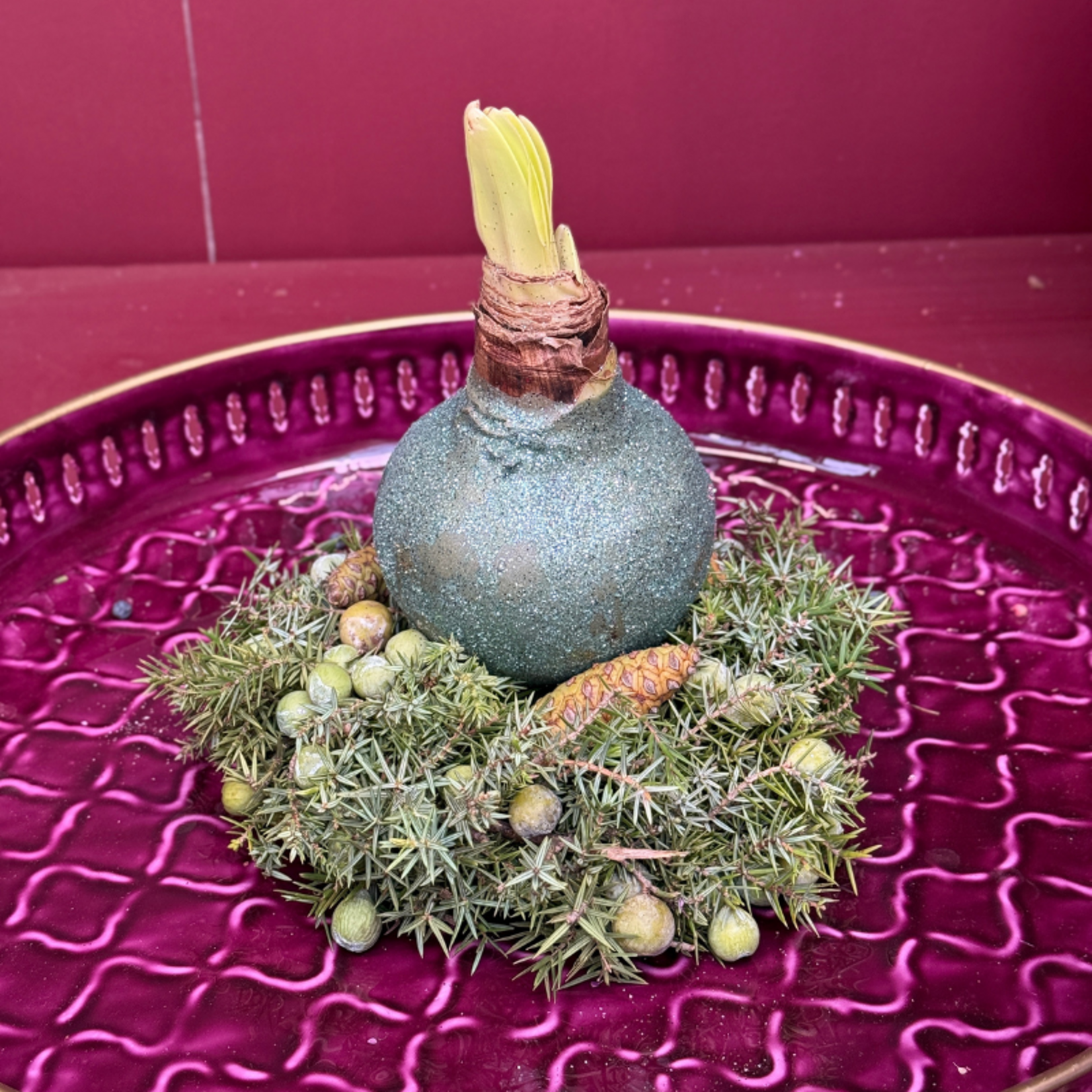 Amaryllis - Turquoise glitter