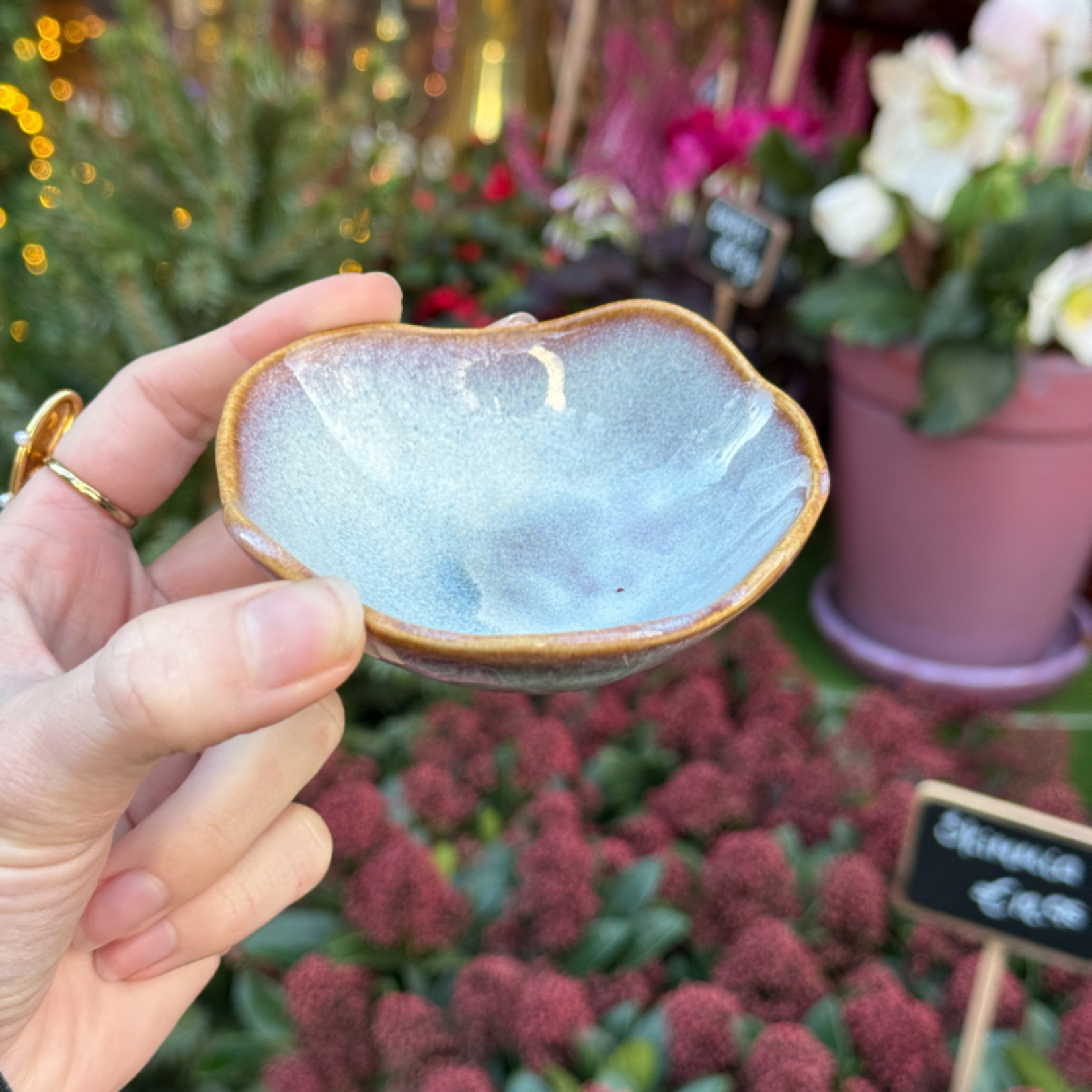 Schaaltje Moris - Lait Chocolat XXS