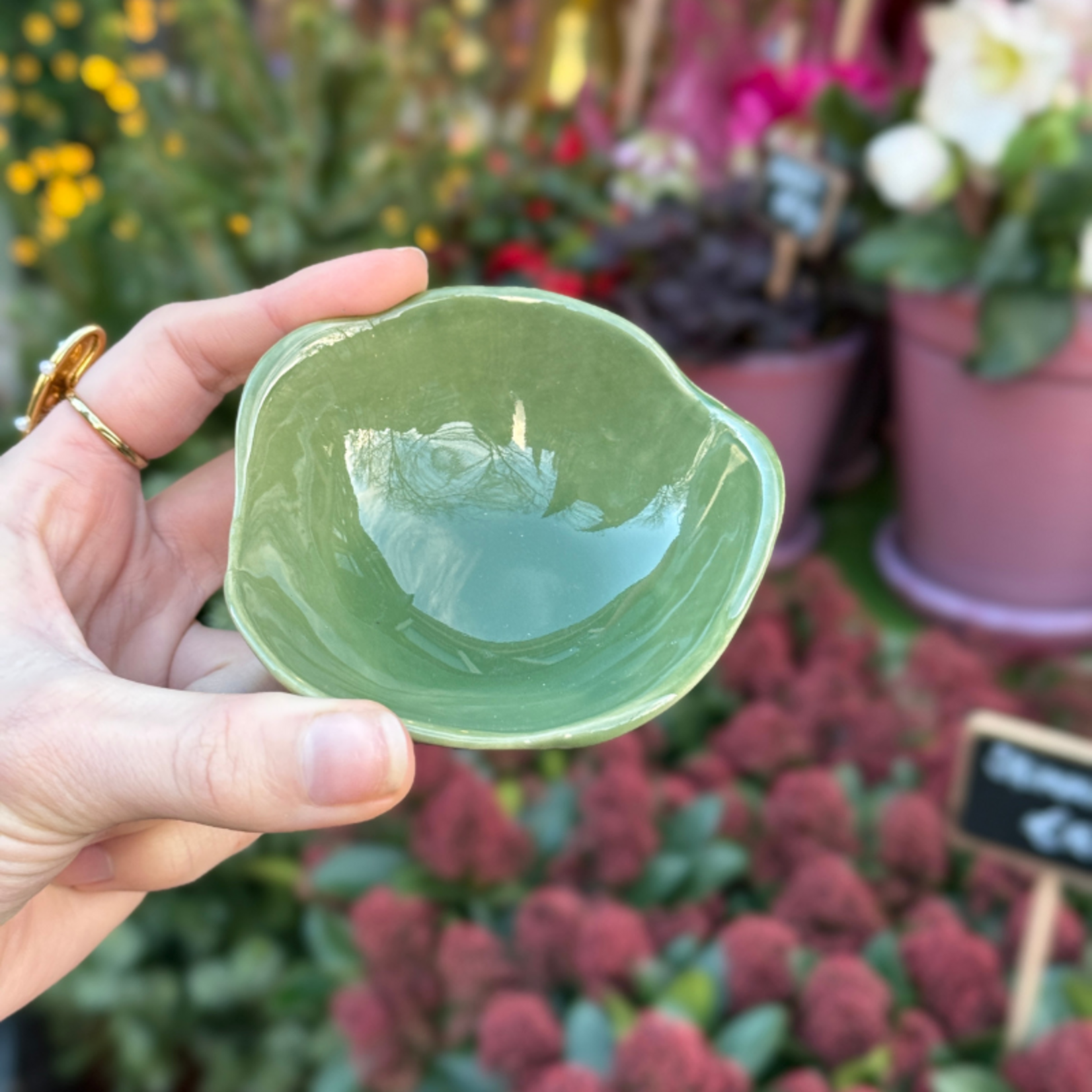 Schaaltje Moris - Vert Gazon XXS