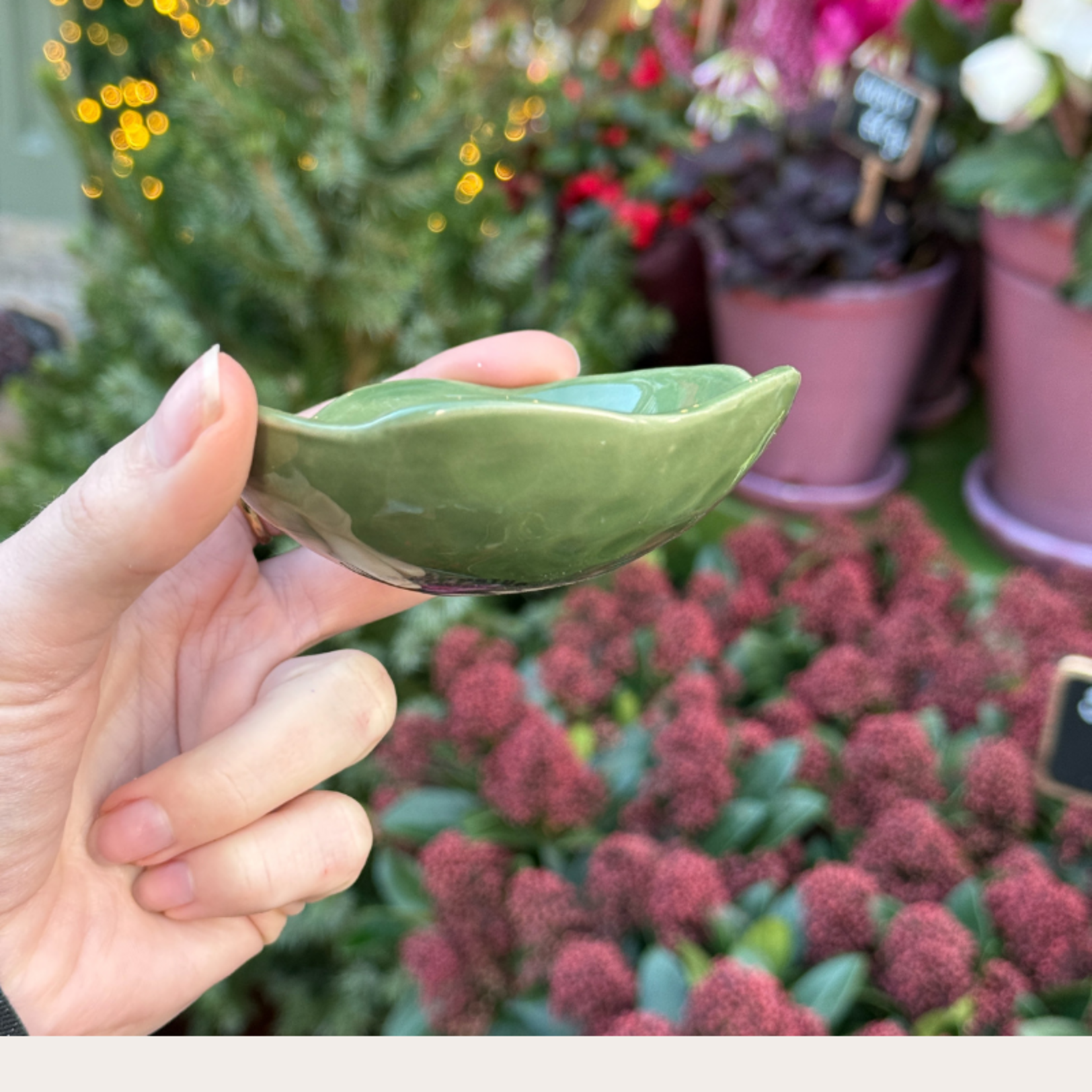 Schaaltje Moris - Vert Gazon XXS