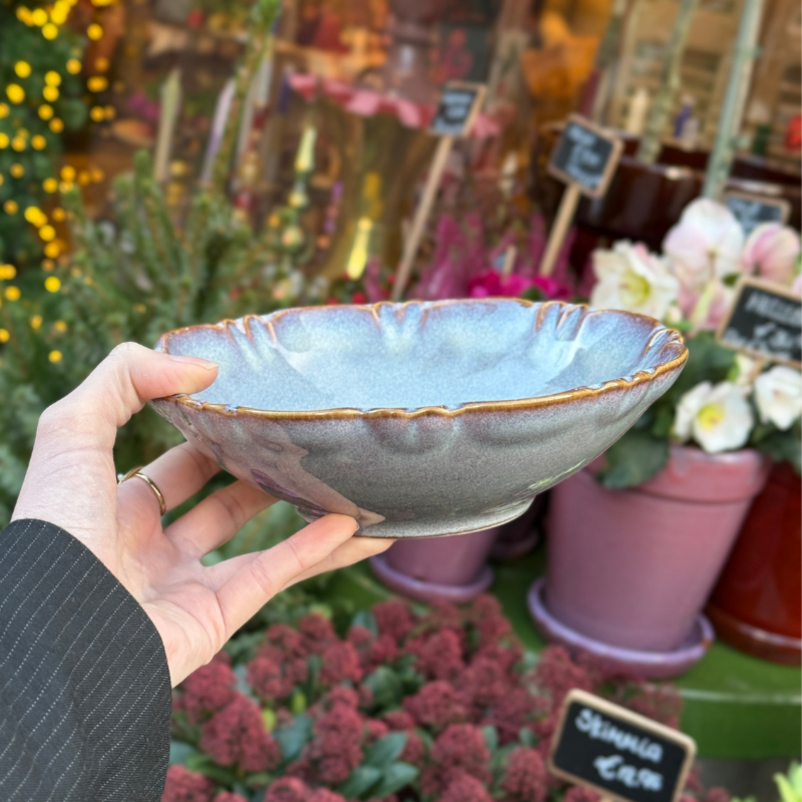 Schaal Moris - Lait Chocolat XS