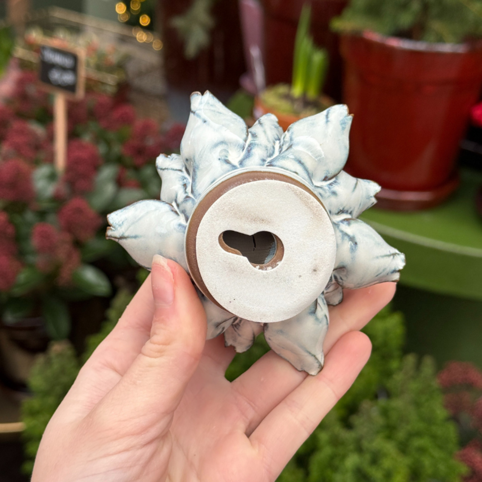 Keramieken bloem - Koningsprotea - blauw/wit