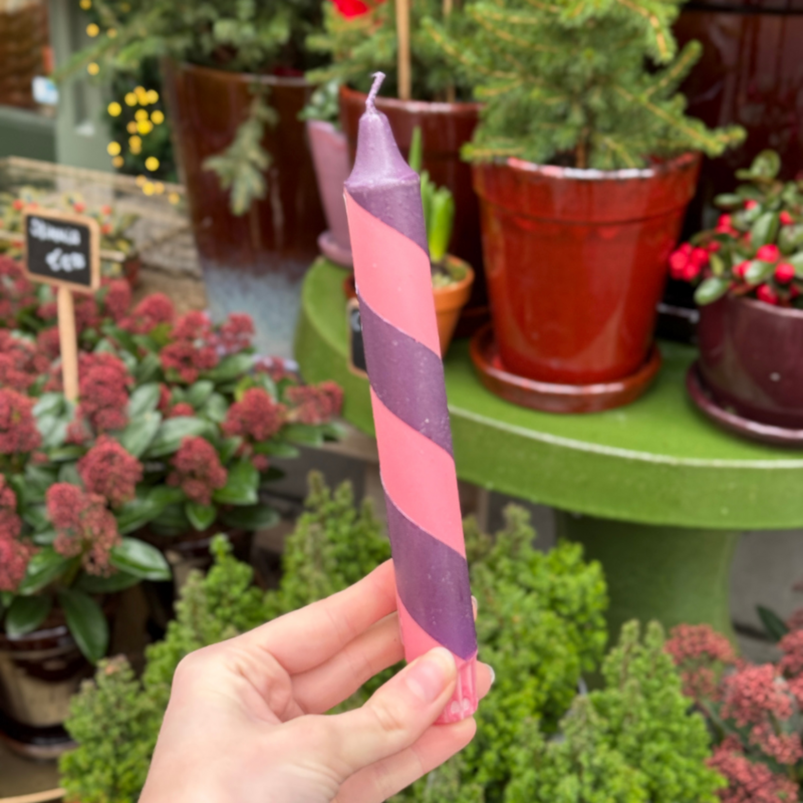 Kaars - Essence - Roze/paars spiraal