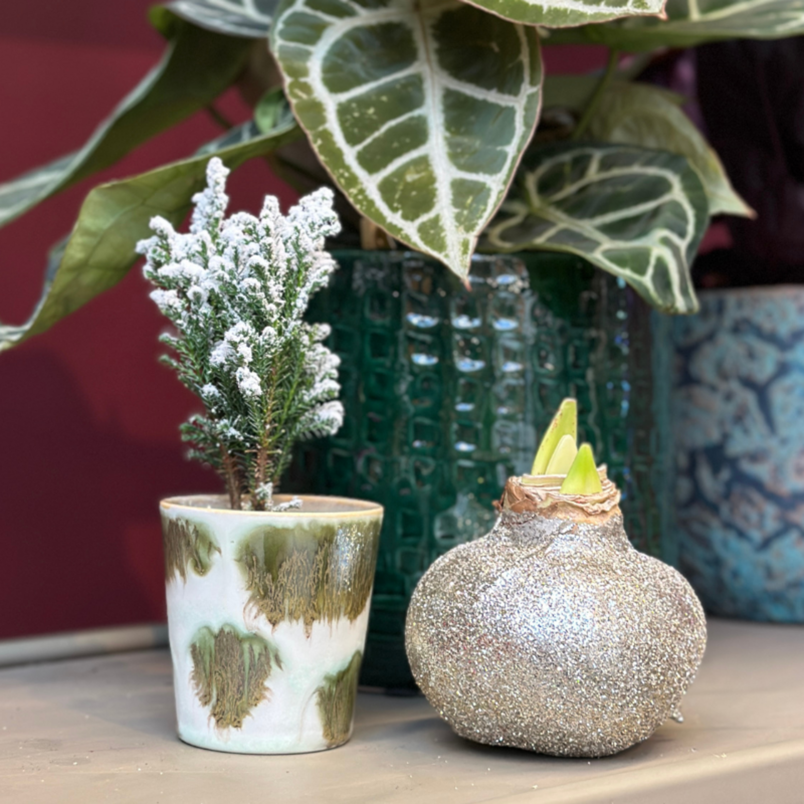 Amaryllis - Champagne glitter