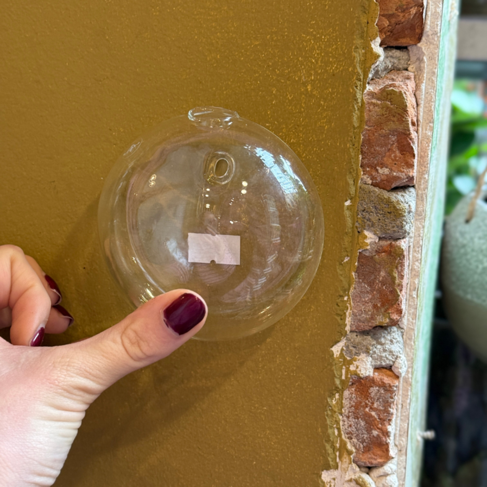 Wandvaasje Glas - Kling - Rond, bol - S