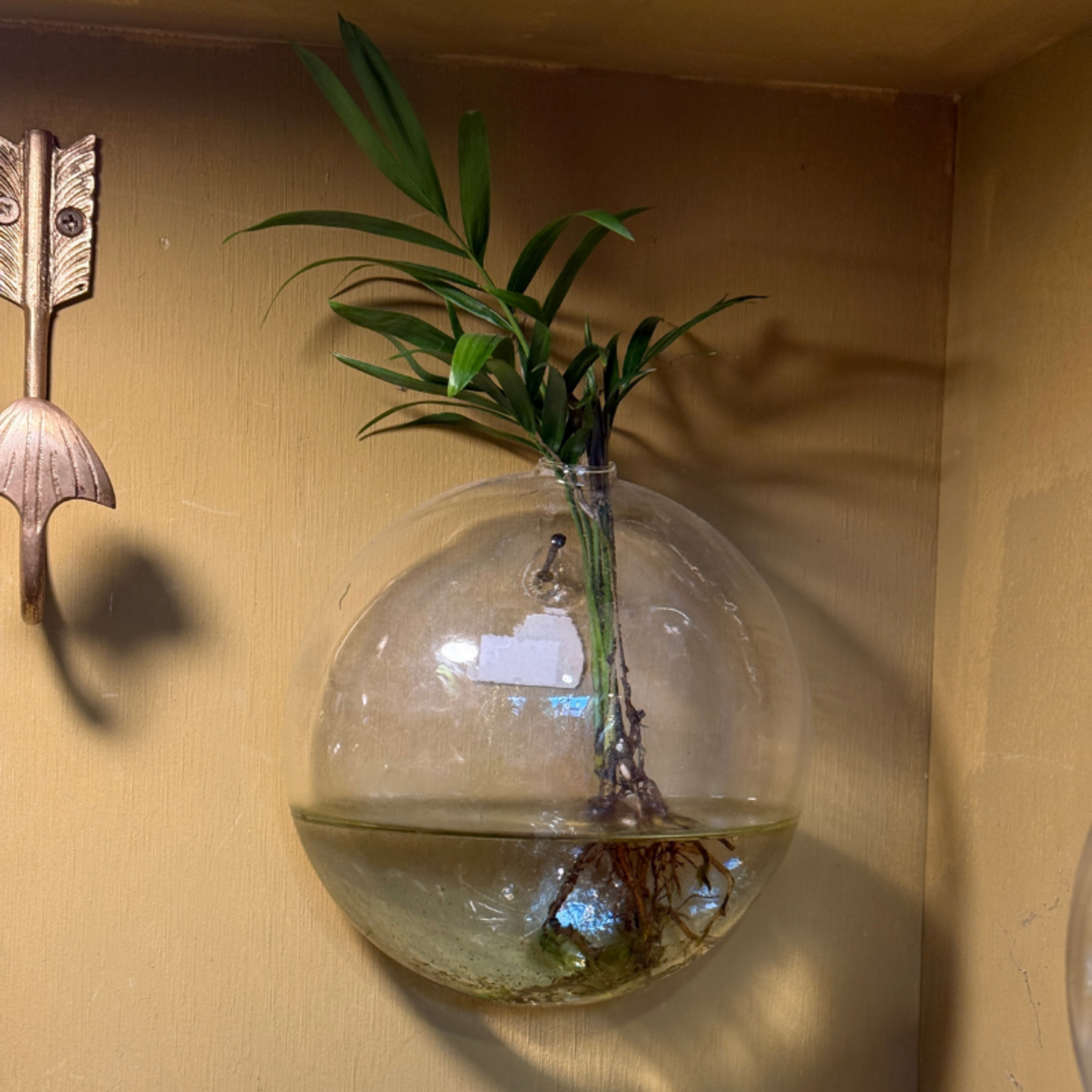 Wandvaasjes van glas - rond, bol