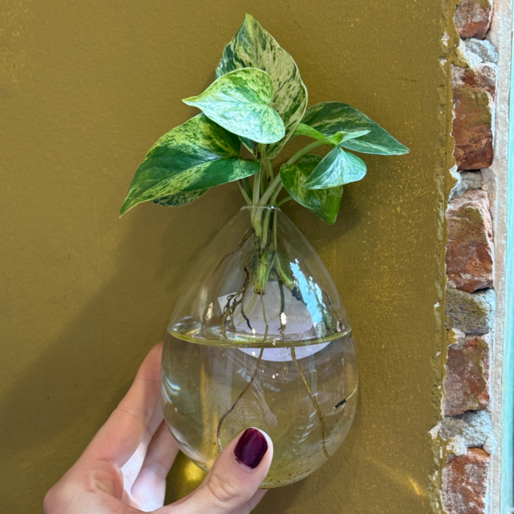 Wandvaasje Glas - Kling - Druppel