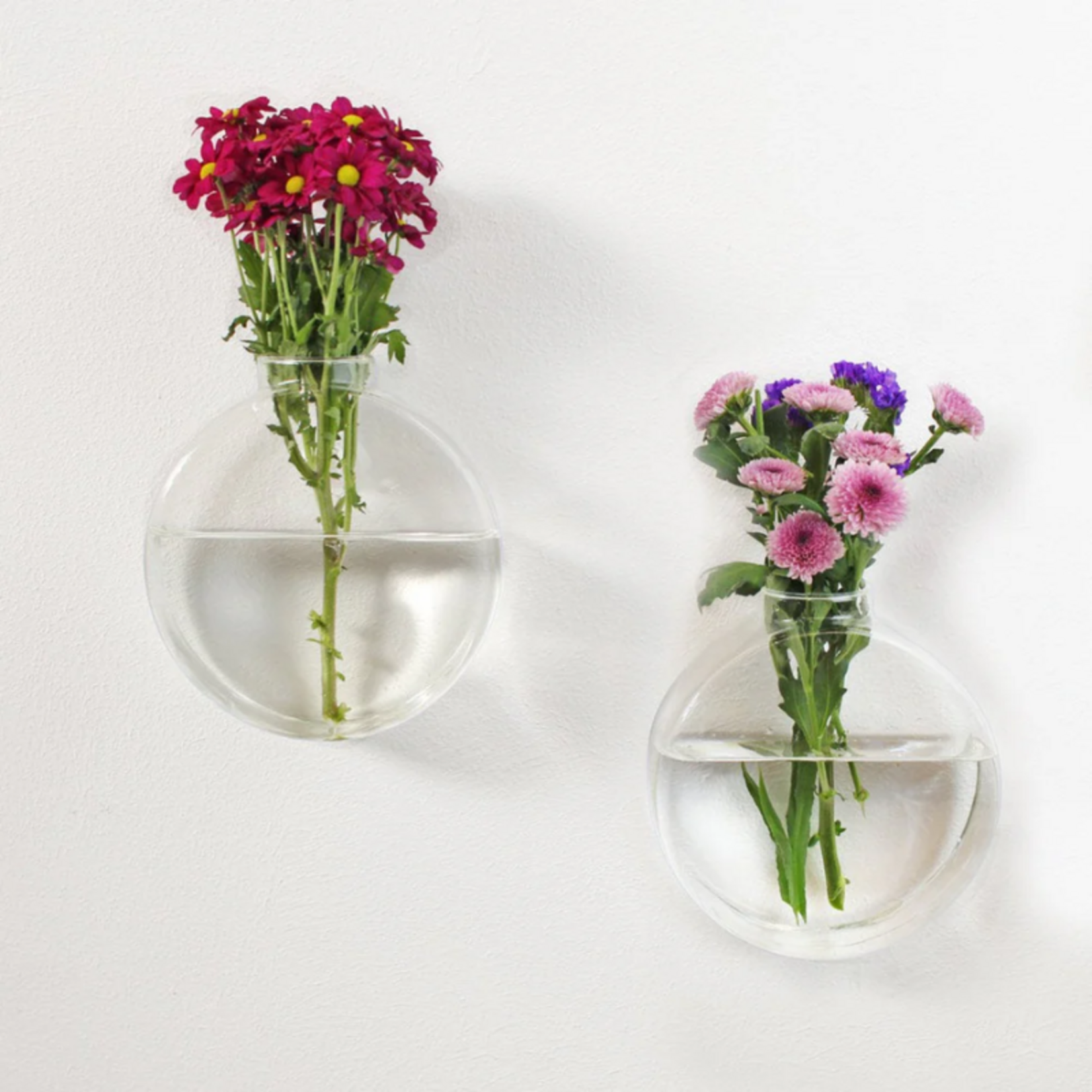 Wandvaasjes van glas- rond