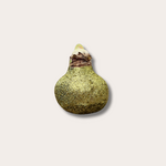 Amaryllis - Goud  glitter