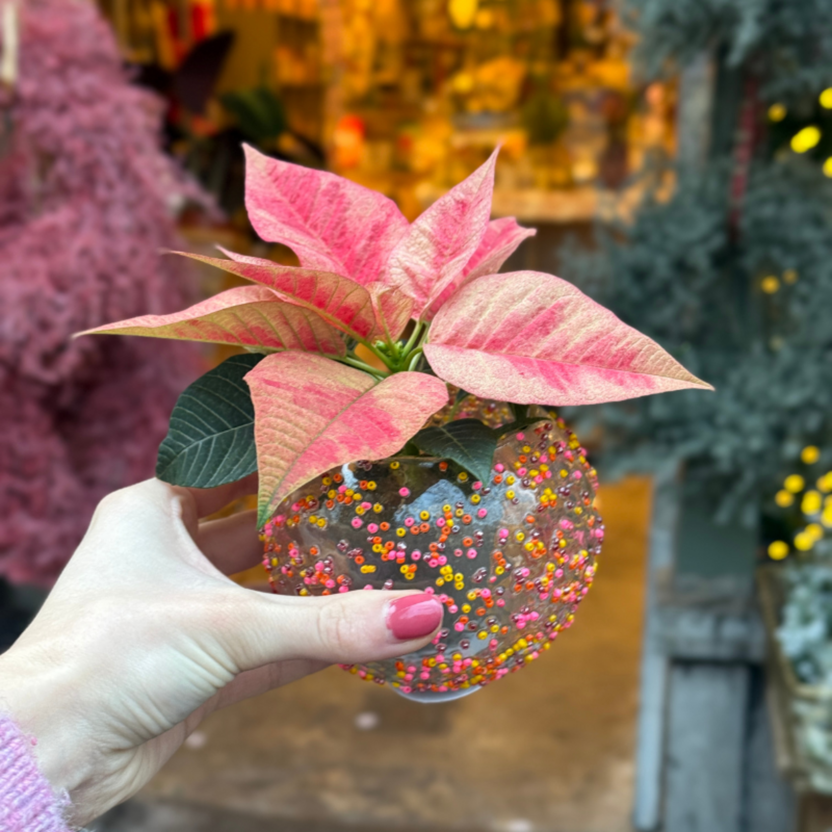 Theelichthouder Sofie - roze