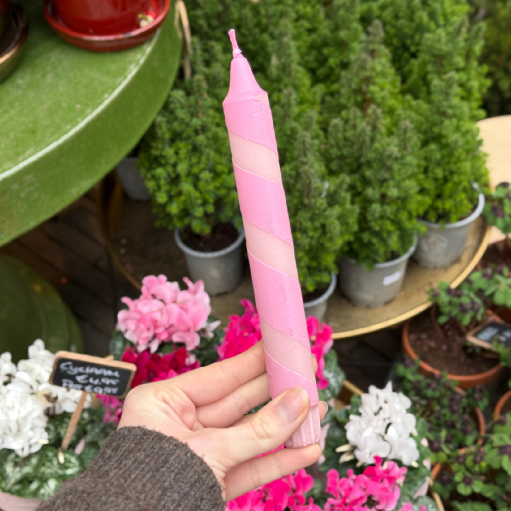 Kaars - Essence - Roze spiraal