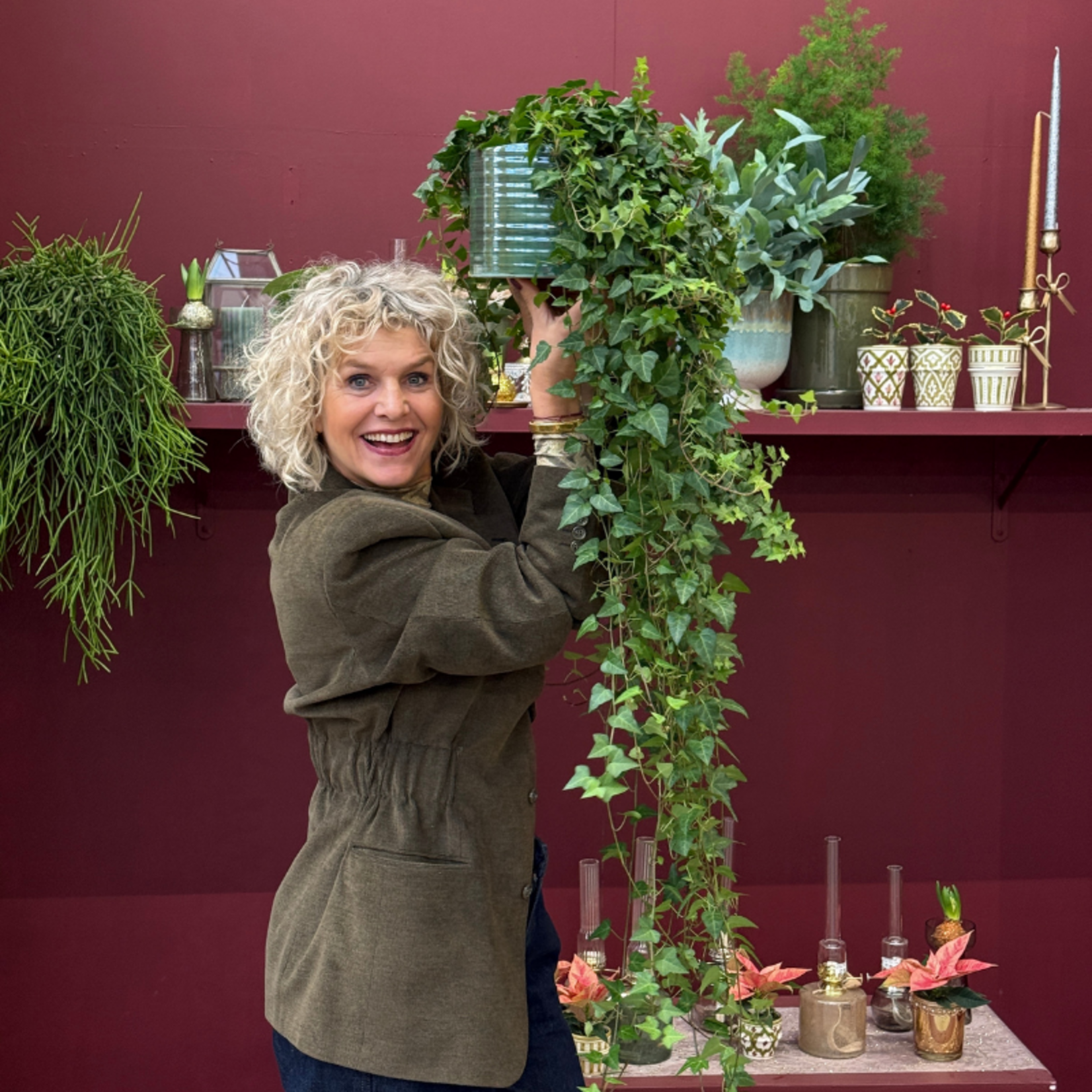 Hedera - helix - 'Anna'