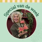 Groene Vingers Special van de week