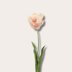 Zijden bloem - Papegaaientulp - zacht oranje