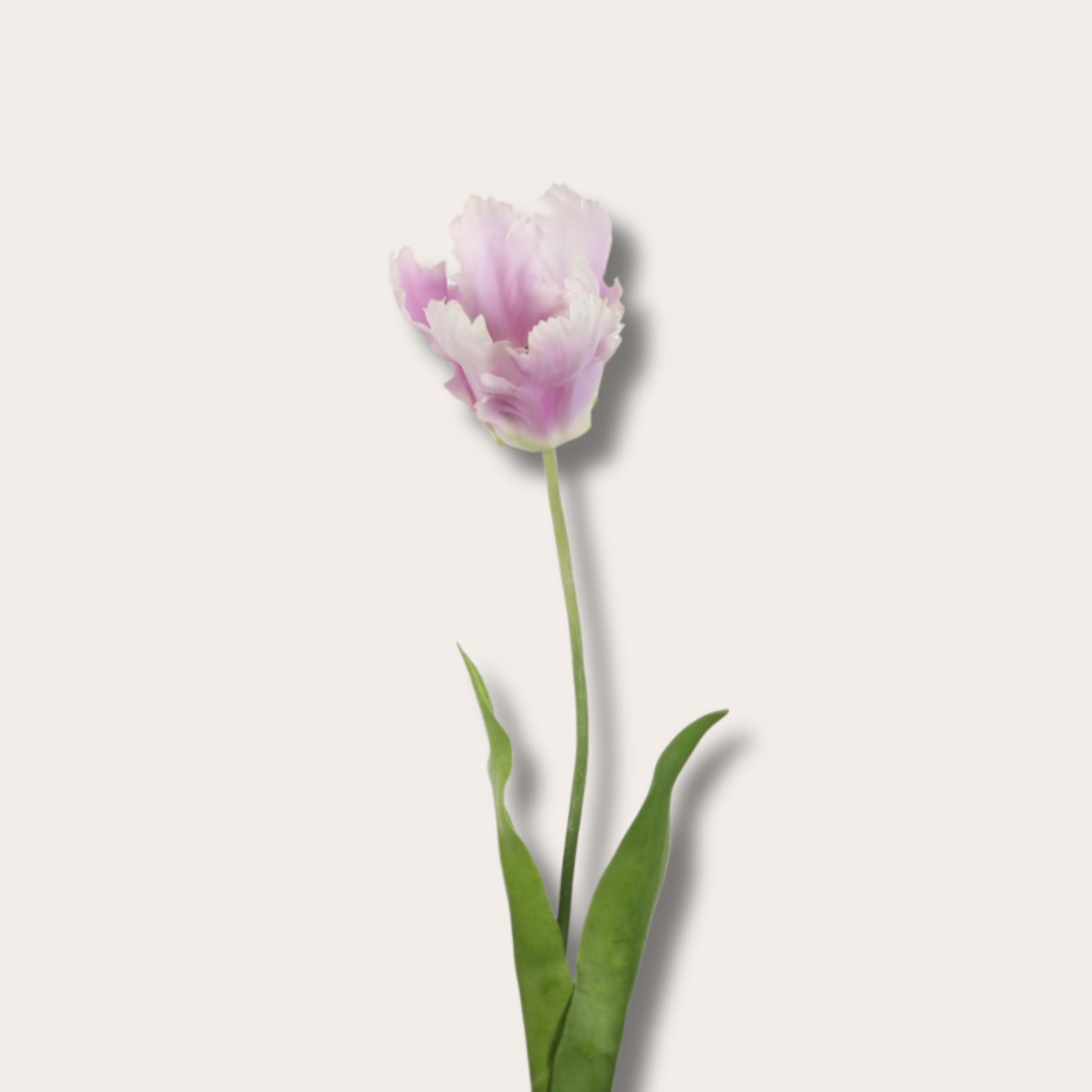 Zijden bloem - Papegaaientulp - lila