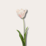 Zijden bloem - Papegaaientulp - zacht roze