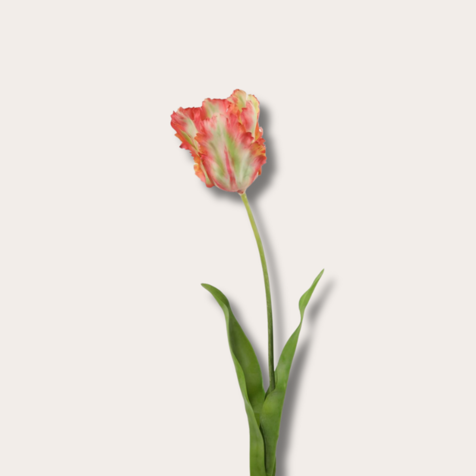 Zijden bloem - Papegaaientulp - koraal/geel