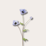 Zijden bloem - Anemoon - licht blauw